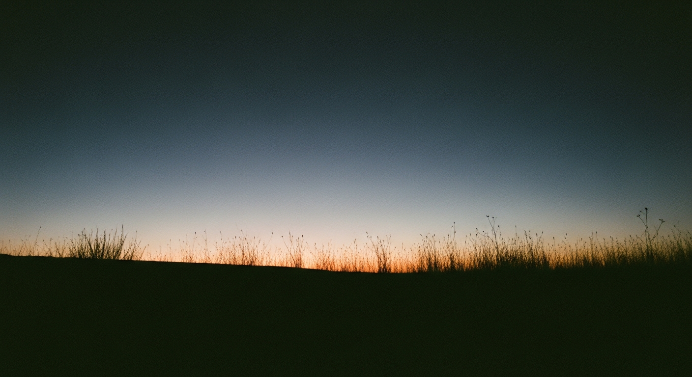 Pre-dawn landscape with dry grass silhouetted against a faint warm glow at the horizon under a dark sky