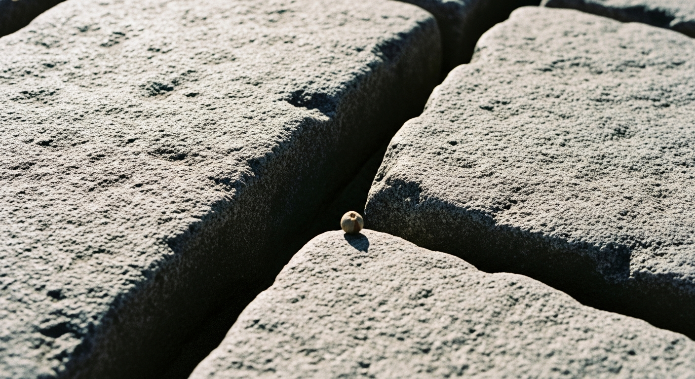 A single small seed resting in a crack between large cobblestones, the stones massive and weathered, the seed almost invisible