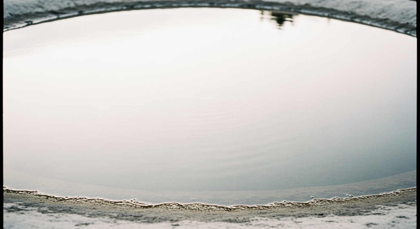 The surface of still water in a stone basin reflecting pale sky, the reflection almost but not quite perfect, with a thin dark line at the water's edge
